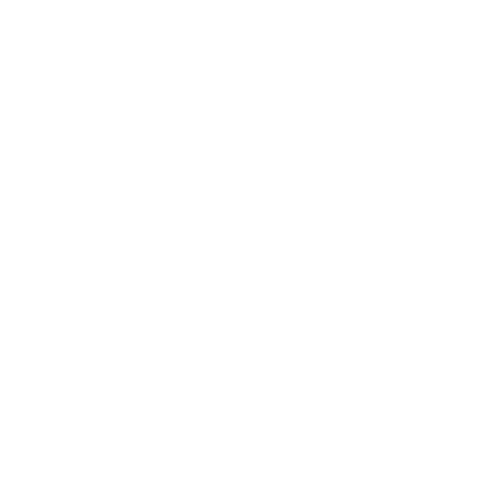 DuLille logo